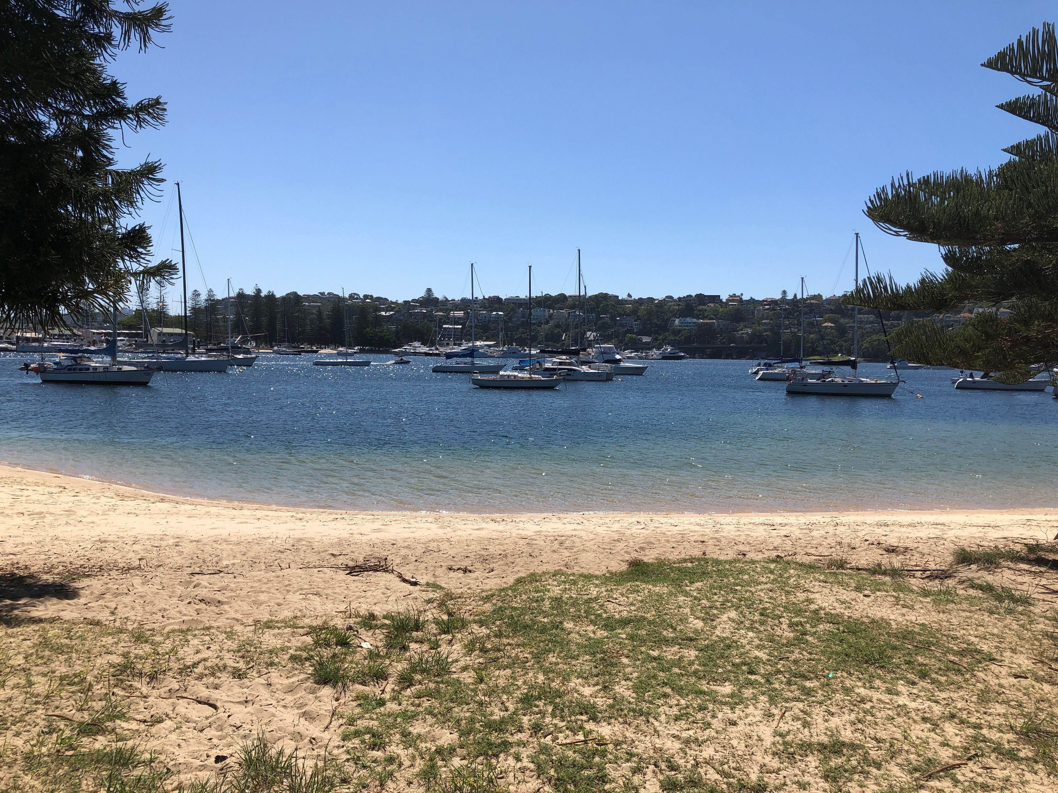 Northern Beaches Public Day Tour febuary 2019 Image -5c649648d2ad8